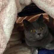 ヒメ日記 2024/12/30 20:36 投稿 まきこ 奥様の実話 梅田店