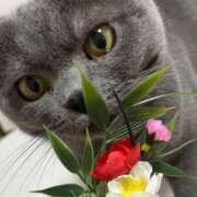 ヒメ日記 2025/01/01 22:06 投稿 まきこ 奥様の実話 梅田店