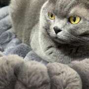 ヒメ日記 2025/01/02 22:23 投稿 まきこ 奥様の実話 梅田店