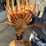 ヒメ日記 2025/01/03 14:50 投稿 まきこ 奥様の実話 梅田店