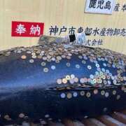 ヒメ日記 2025/01/11 12:46 投稿 まきこ 奥様の実話 梅田店