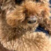 ヒメ日記 2025/01/13 14:54 投稿 まきこ 奥様の実話 梅田店