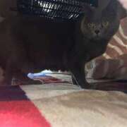 ヒメ日記 2025/01/19 21:03 投稿 まきこ 奥様の実話 梅田店