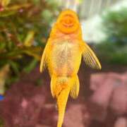 ヒメ日記 2025/01/21 09:01 投稿 まきこ 奥様の実話 梅田店