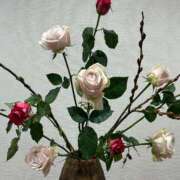 ヒメ日記 2025/01/21 10:01 投稿 まきこ 奥様の実話 梅田店