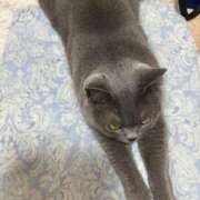 ヒメ日記 2025/01/23 22:15 投稿 まきこ 奥様の実話 梅田店