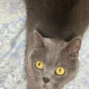 ヒメ日記 2025/01/26 22:02 投稿 まきこ 奥様の実話 梅田店