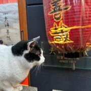 ヒメ日記 2025/01/29 18:15 投稿 まきこ 奥様の実話 梅田店