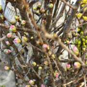 ヒメ日記 2025/02/04 09:45 投稿 まきこ 奥様の実話 梅田店