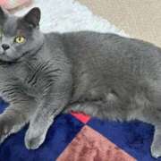 ヒメ日記 2025/02/05 22:43 投稿 まきこ 奥様の実話 梅田店