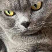 ヒメ日記 2025/02/07 21:36 投稿 まきこ 奥様の実話 梅田店