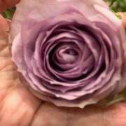 ヒメ日記 2025/02/12 09:15 投稿 まきこ 奥様の実話 梅田店