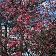 ヒメ日記 2025/02/14 09:57 投稿 まきこ 奥様の実話 梅田店