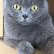 ヒメ日記 2025/02/22 09:02 投稿 まきこ 奥様の実話 梅田店