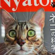 ヒメ日記 2025/02/22 21:14 投稿 まきこ 奥様の実話 梅田店