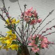 ヒメ日記 2025/02/26 09:45 投稿 まきこ 奥様の実話 梅田店