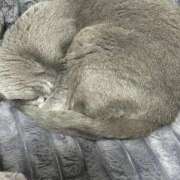 ヒメ日記 2025/02/26 20:37 投稿 まきこ 奥様の実話 梅田店