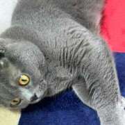 ヒメ日記 2025/02/28 22:59 投稿 まきこ 奥様の実話 梅田店