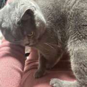 ヒメ日記 2025/03/02 22:20 投稿 まきこ 奥様の実話 梅田店