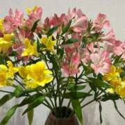 ヒメ日記 2025/03/03 13:30 投稿 まきこ 奥様の実話 梅田店