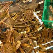 ヒメ日記 2025/03/07 12:25 投稿 まきこ 奥様の実話 梅田店