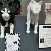 ヒメ日記 2025/03/09 20:52 投稿 まきこ 奥様の実話 梅田店