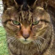 ヒメ日記 2025/03/09 20:56 投稿 まきこ 奥様の実話 梅田店