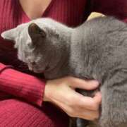 ヒメ日記 2025/03/09 22:06 投稿 まきこ 奥様の実話 梅田店