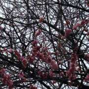 ヒメ日記 2025/03/11 10:27 投稿 まきこ 奥様の実話 梅田店