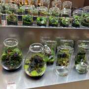 ヒメ日記 2025/03/11 19:30 投稿 まきこ 奥様の実話 梅田店