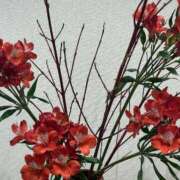 ヒメ日記 2025/03/17 10:30 投稿 まきこ 奥様の実話 梅田店