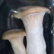 ヒメ日記 2025/03/17 18:45 投稿 まきこ 奥様の実話 梅田店