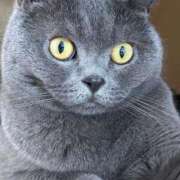 ヒメ日記 2025/03/17 21:45 投稿 まきこ 奥様の実話 梅田店