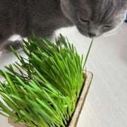 ヒメ日記 2025/03/18 18:35 投稿 まきこ 奥様の実話 梅田店