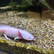 ヒメ日記 2025/03/19 10:15 投稿 まきこ 奥様の実話 梅田店