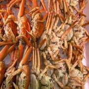 ヒメ日記 2025/03/19 19:01 投稿 まきこ 奥様の実話 梅田店