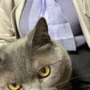 ヒメ日記 2025/03/20 20:40 投稿 まきこ 奥様の実話 梅田店