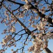 ヒメ日記 2025/03/22 16:49 投稿 まきこ 奥様の実話 梅田店