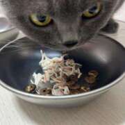 ヒメ日記 2025/03/22 21:48 投稿 まきこ 奥様の実話 梅田店