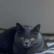 ヒメ日記 2025/03/27 20:47 投稿 まきこ 奥様の実話 梅田店