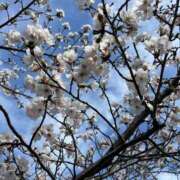 ヒメ日記 2025/04/01 09:45 投稿 まきこ 奥様の実話 梅田店