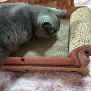 ヒメ日記 2025/04/05 18:41 投稿 まきこ 奥様の実話 梅田店