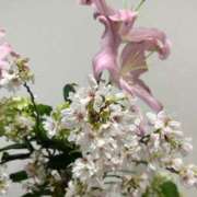 ヒメ日記 2025/04/08 10:00 投稿 まきこ 奥様の実話 梅田店