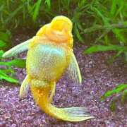 ヒメ日記 2025/04/09 14:15 投稿 まきこ 奥様の実話 梅田店