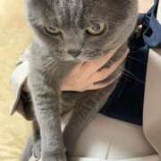 ヒメ日記 2025/04/09 21:31 投稿 まきこ 奥様の実話 梅田店