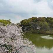 ヒメ日記 2025/04/10 10:48 投稿 まきこ 奥様の実話 梅田店