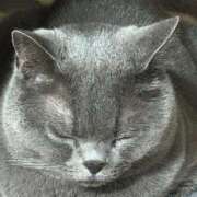 ヒメ日記 2025/04/10 21:33 投稿 まきこ 奥様の実話 梅田店