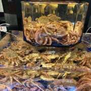 ヒメ日記 2025/04/12 18:11 投稿 まきこ 奥様の実話 梅田店