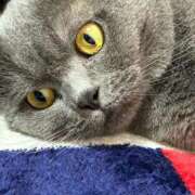 ヒメ日記 2025/04/13 20:57 投稿 まきこ 奥様の実話 梅田店