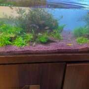 ヒメ日記 2025/04/16 10:15 投稿 まきこ 奥様の実話 梅田店